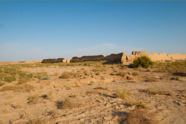 你想要來的新疆2022年是這樣的