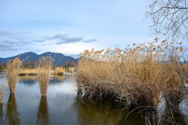 麗江小眾旅遊景點,雲南首個以“溼地”命名的保護區,景美人少 麗江小眾旅遊景點,雲南首個以“溼地”命名的保護區,景美人少