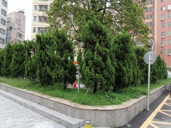 負債累累,分清以下幾點,上岸之路不再迷茫 負債累累,分清以下幾點,上岸之路不再迷茫