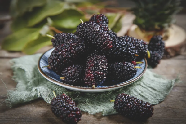 桑樹救駕，椿樹封王，吃桑葚的好處有多少？