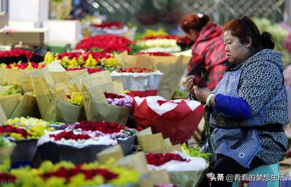 假如有人出錢讓你去雲貴川旅遊，只能去一個省，選哪個省？理由？