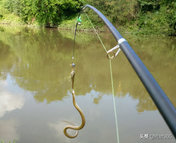 海南一男子野釣的罕見經歷，一次釣獲兩條魚，看清後扔下魚竿就跑