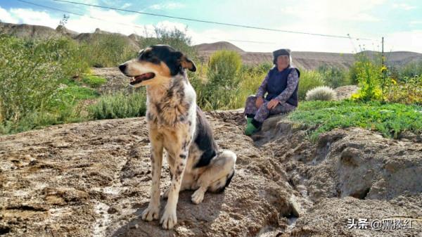 新疆遊記 | 塔什庫爾幹:有一個朋友叫“老卡” 新疆遊記 | 塔什庫爾幹:有一個朋友叫“老卡”