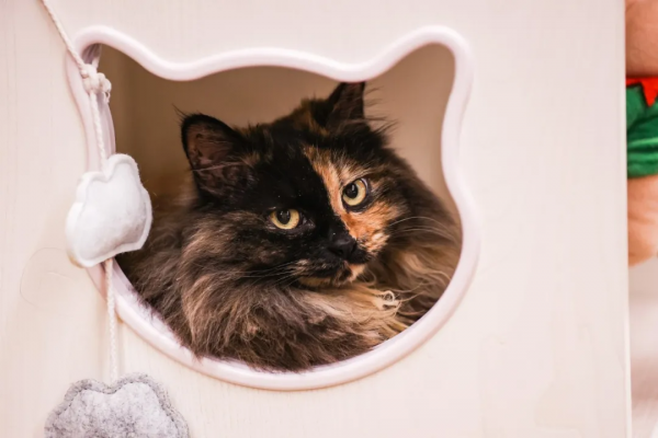 我像風一樣自由 我像風一樣自由