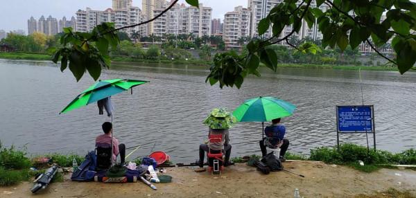 釣魚把隔壁打閉口？其實並不難，難的是你要爆護