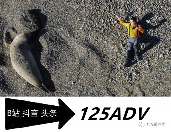 天生奔放不羈的阿根廷人居然也被隔離了 天生奔放不羈的阿根廷人居然也被隔離了