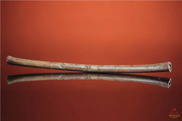 館藏國寶｜河南博物院九大鎮館之寶，婦好鴞尊見證傳奇