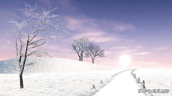 負暄閉目坐，心與虛空俱