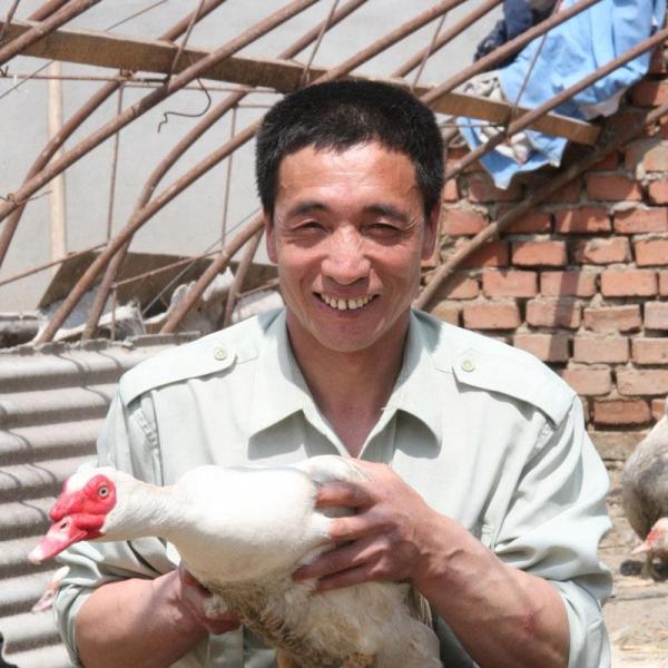 80後四川小夥養殖南非香鶉雁年收入50多萬