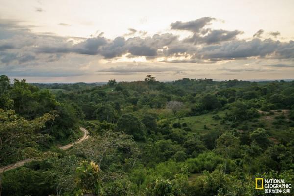 溫順的樹懶是如何成為&OpenCurlyDoubleQuote;明星寵物&rdquo;的？