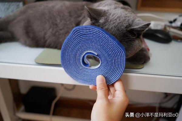 桌面整理大作戰！低成本改造書桌，這些收納好物你值得擁有