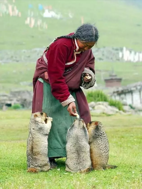 9月去正好！適合小住幾日的8座絕美古鎮，人少景美，清幽安逸