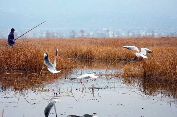 疫情過後，我想再去一次貴州，這10個地方，一直讓我念念不忘