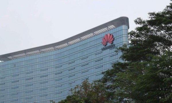 每年花任正非4億美元，15年後，何庭波研究成果“備胎”一夜轉正