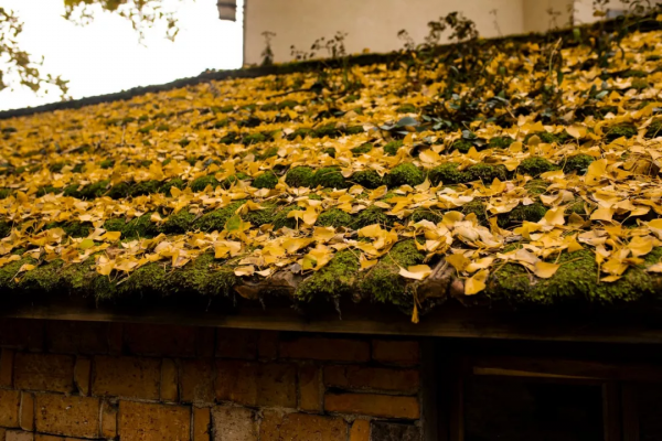 10個藏在深山不為人知的古村落，竟是絕美的“世外桃源”