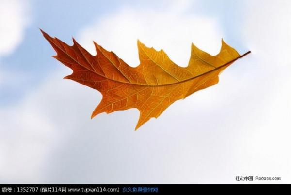 人教版八年級物理上冊第1單元第1-2節周測卷及答案