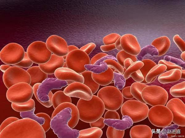 腎病除了降肌酐,這些事也很重要 腎病除了降肌酐,這些事也很重要