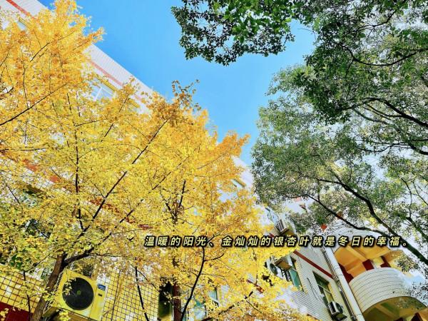 &OpenCurlyDoubleQuote;你這個肺部結節看上去&hellip;&hellip;&zwj;有家屬在嗎？&rdquo;