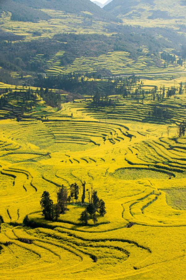 來來來，沒去旅行不要緊！看完這些圖，你已走遍中國最美之地