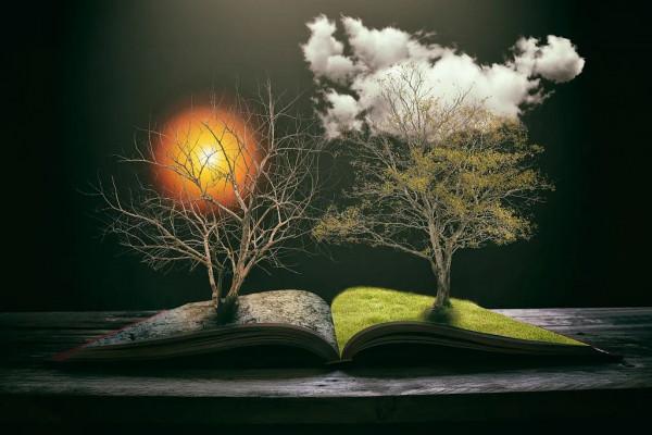 世界清潔地球日 世界清潔地球日