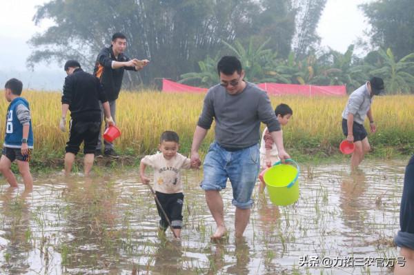 “糧食安全萬里行 力拓好米更安心”——2021糧食安全主題活動舉行
