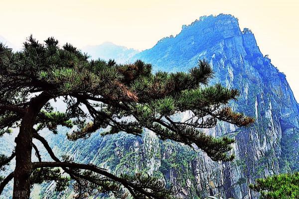 最經典的詩詞530首,掌握這些詩詞對寫詩和鑑賞詩詞足夠了 最經典的詩詞530首,掌握這些詩詞對寫詩和鑑賞詩詞足夠了