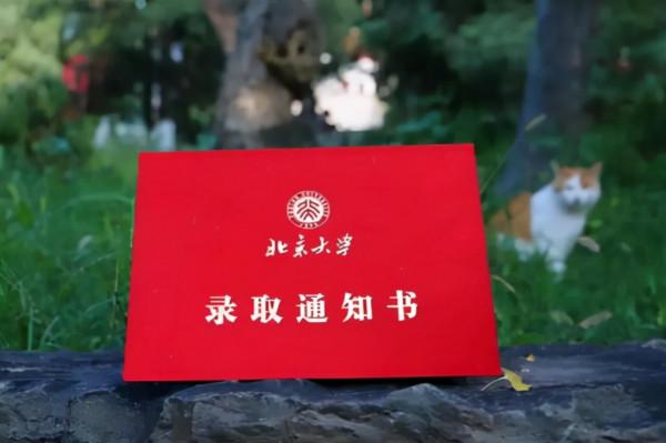 新疆女孩656考上北大，加分政策沒問題，但卻因母校問題引發熱議