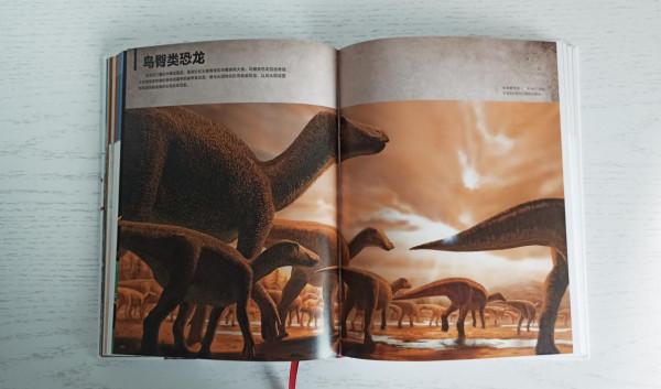 一本關於恐龍的百科書,讓孩子愛上恐龍的世界 一本關於恐龍的百科書,讓孩子愛上恐龍的世界