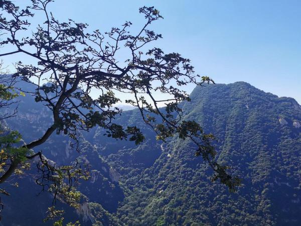 仙掌崖在華 山東 峰 仙掌崖在華 山東 峰