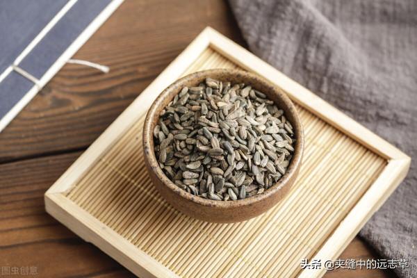 風疹、溼症？送你一劑消風散，祛風止癢、清熱燥溼，兼可養血