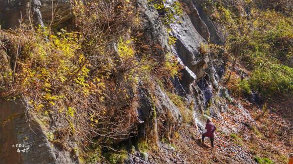 論奇石,我就服長白山望天鵝,它是1億年前火山噴發創造的奇觀 論奇石,我就服長白山望天鵝,它是1億年前火山噴發創造的奇觀