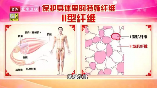 老來瘦,人長壽?明確告知:太瘦太胖都不可取 老來瘦,人長壽?明確告知:太瘦太胖都不可取