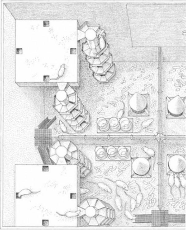 “25號宇宙”實驗是科學史上最可怕的實驗之一