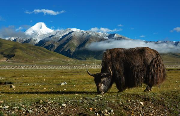 崑崙山在哪裡？第二期 蒼茫中崑崙