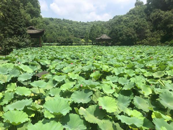 淺談東方文化中的“占卜”