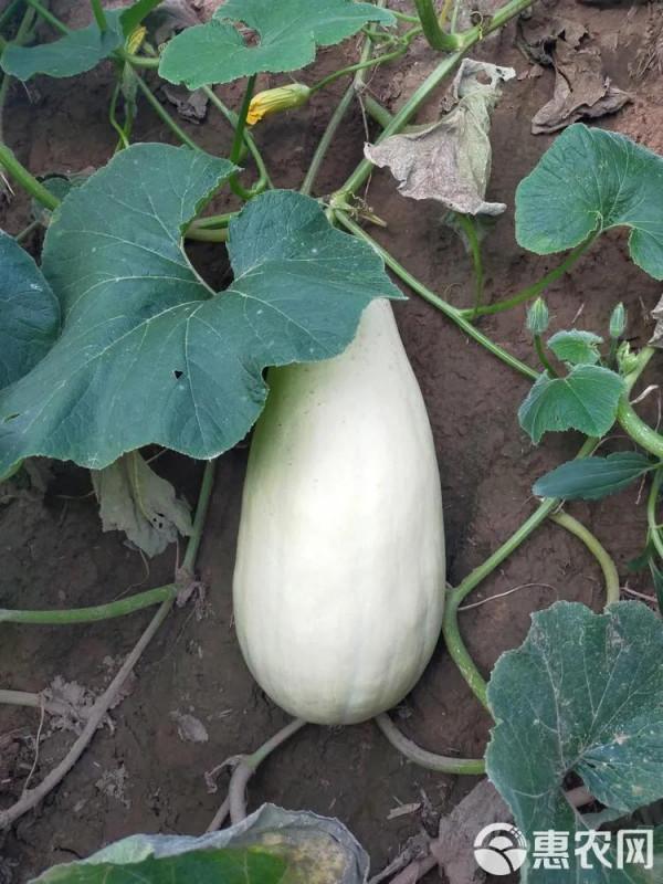 關於預防腦出血腦梗，你必須要知道的幾件事