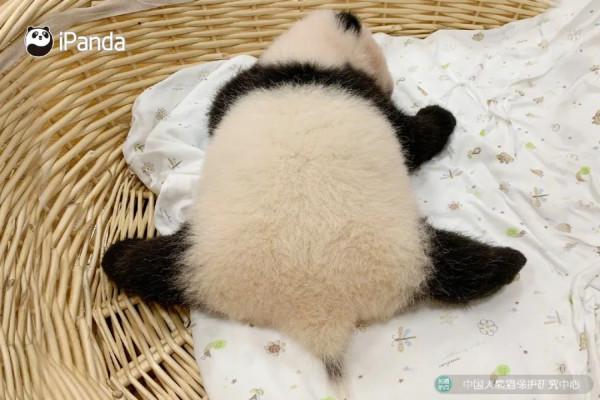 誰還沒有冰墩墩？我！我！還有我