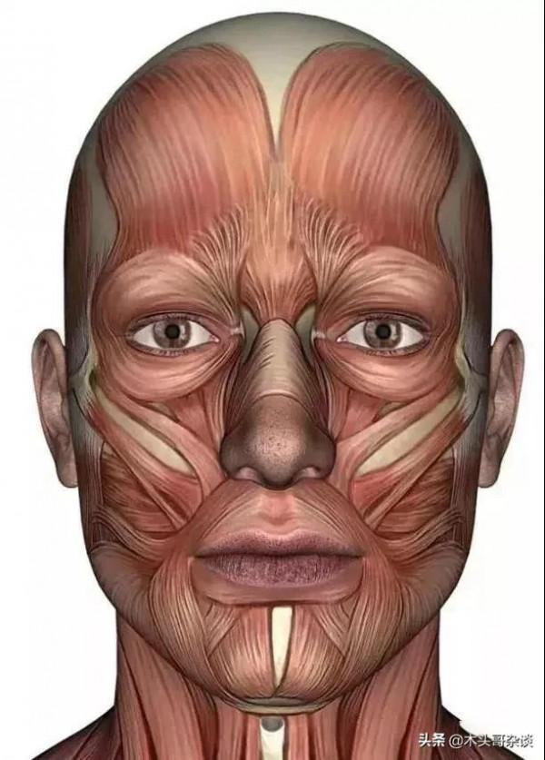 有趣的微表情與AI技術
