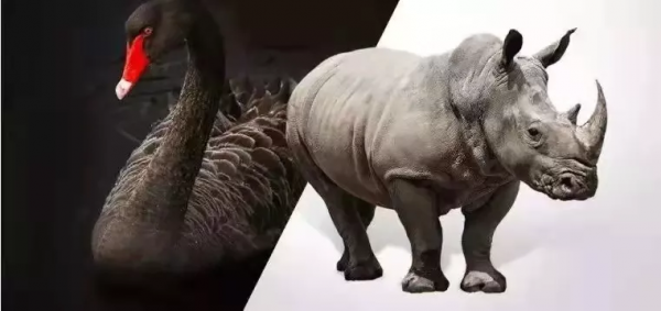 李佳琦12小時狂賣100億,金嗓子從聯交所退市:三無時代到來了 李佳琦12小時狂賣100億,金嗓子從聯交所退市:三無時代到來了