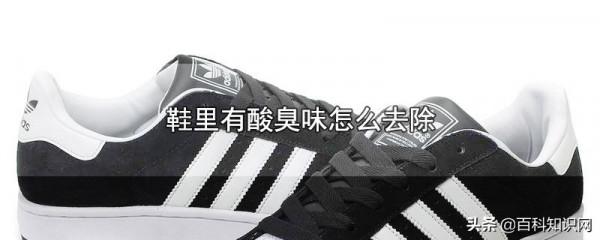 鞋裡有酸臭味怎麼去除