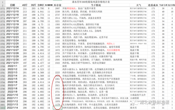 2022年1月14日今日雞蛋價格