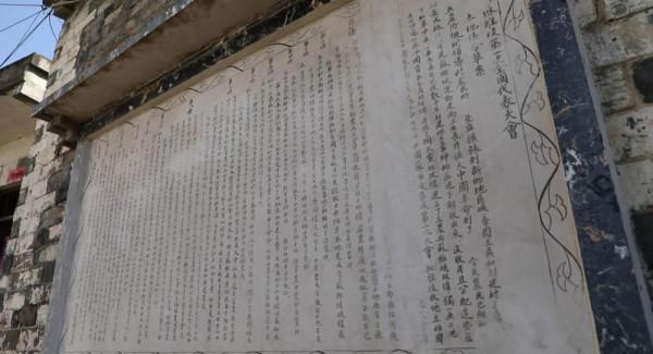 了不起的它們 | 一面有秘密的牆