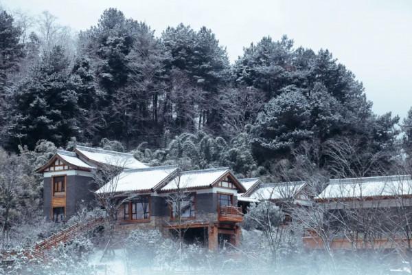 春雪紛飛染冬色 黔地皚皚似北國