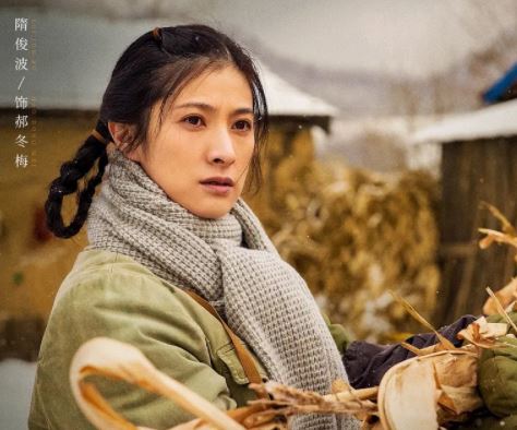 《人世間》四大美女，殷桃、宋佳、隋俊波、黃小蕾年過40依然美麗