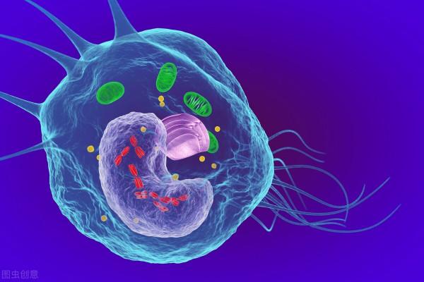 細胞治療，未來“健康班車”即將發車，請疾病困擾旅客做好準備