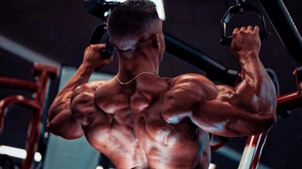 健身分化訓練,到底是三分化好還是五分化好?其本質與原理要明白 健身分化訓練,到底是三分化好還是五分化好?其本質與原理要明白