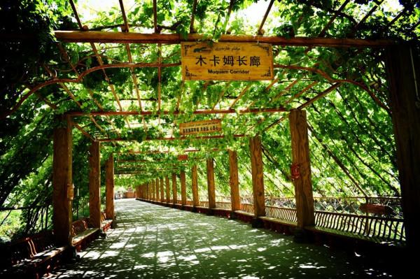 新疆,一個美麗而神秘的世外桃源,隨處都是讓人流連忘返的美景 新疆,一個美麗而神秘的世外桃源,隨處都是讓人流連忘返的美景