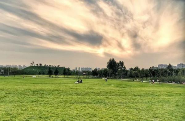 &OpenCurlyDoubleQuote;媽媽，快帶我去撒歡兒！&rdquo;