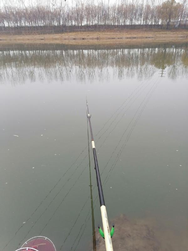冬季怎麼釣魚，用餌和抓魚吃口才是關鍵