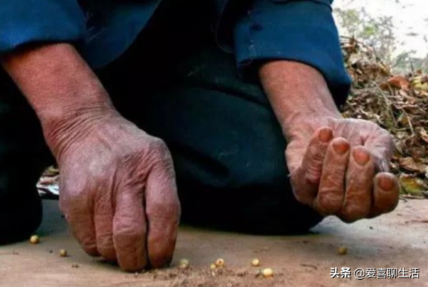 正月初八穀日節，關於稻穀的生長講給孩子們聽，尊重農業愛惜糧食